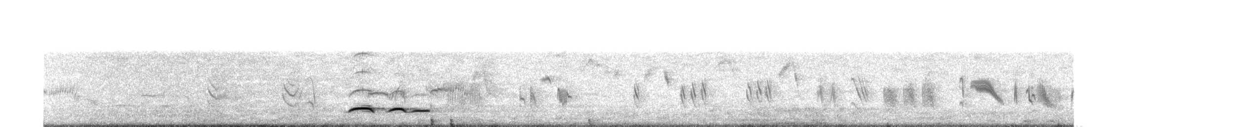 Tinamou élégant - ML236936911