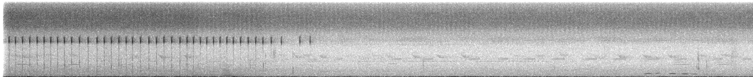 Fahnennachtschwalbe - ML236946