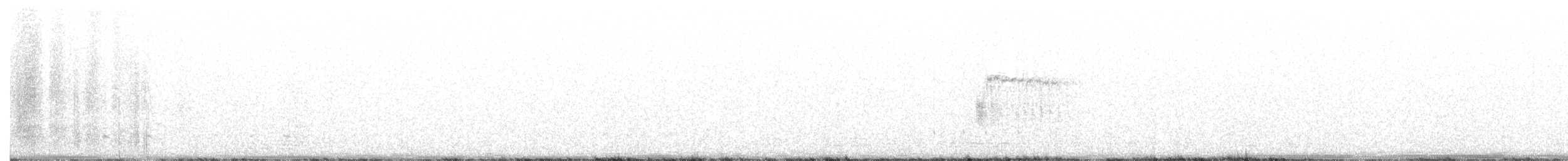 Тауї плямистий - ML237060811