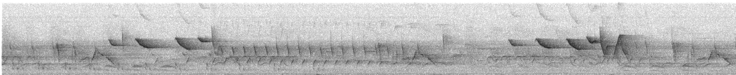 Paruline de Swainson - ML237073151