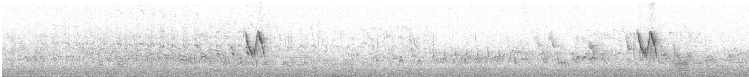 White Wagtail - ML237119791