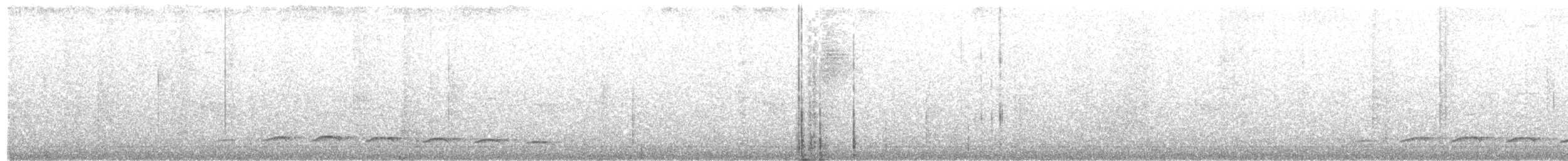 Schwarzbrust-Ameisenvogel - ML23718971