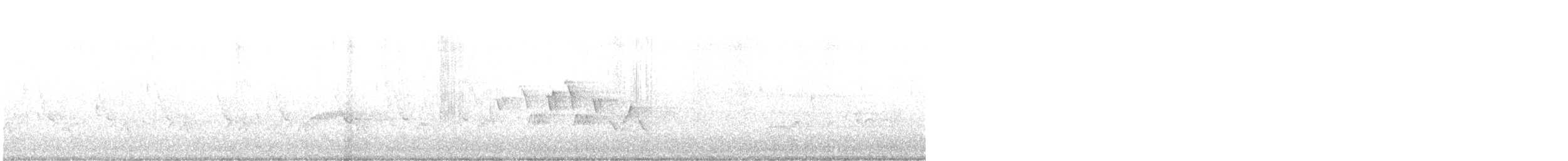 Черногорлая хвойница - ML237196491