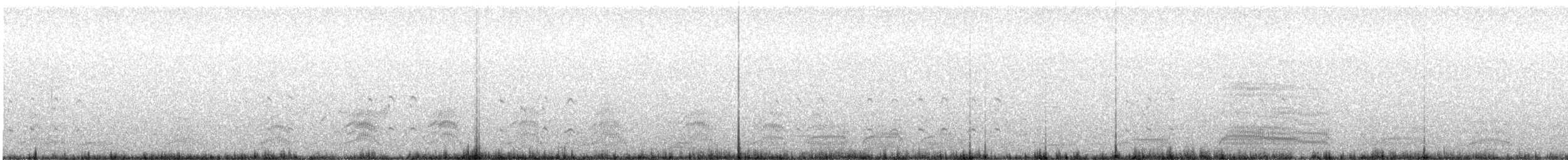 Arctic Tern - ML237197031