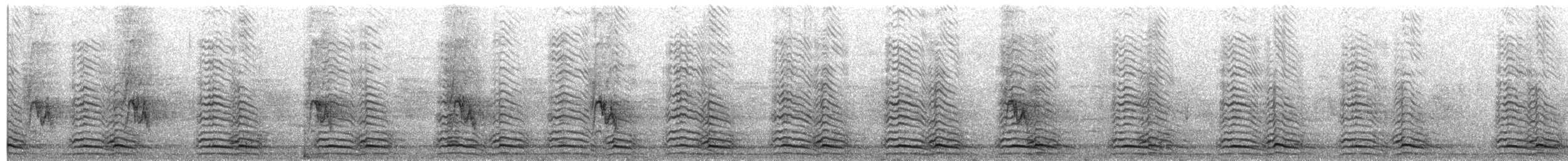 Lesser Black-backed Gull - ML237226151