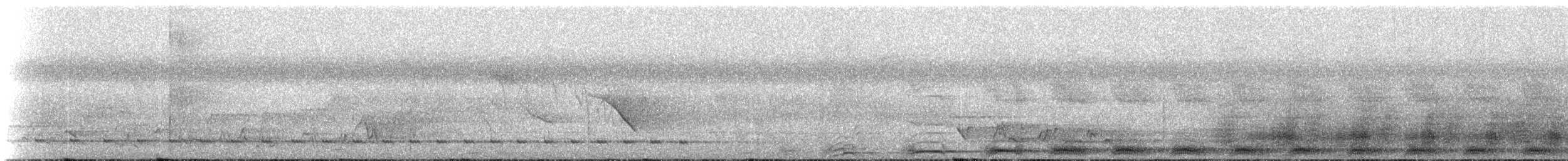 Weißschenkel-Hornvogel - ML237249