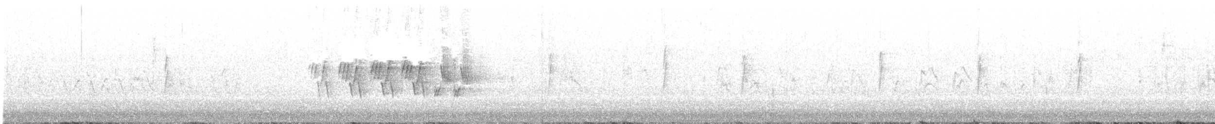 Paruline à croupion jaune (auduboni) - ML237276151