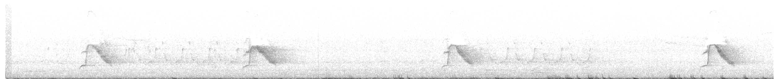 Gray-cheeked Thrush - ML237348651
