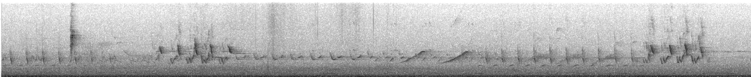 Mourning Warbler - ML237357031