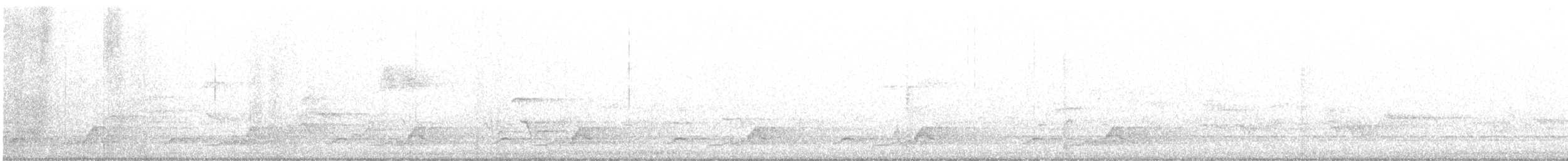 Schwarzkehl-Nachtschwalbe - ML237357501