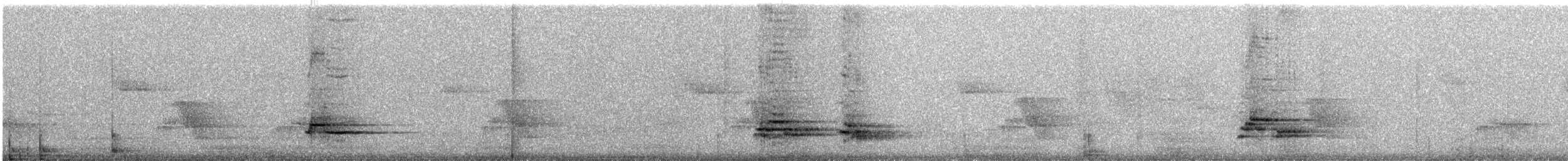 Дрізд-короткодзьоб строкатогрудий - ML237365681