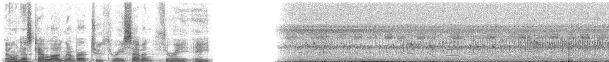 Great Dusky Swift - ML23738