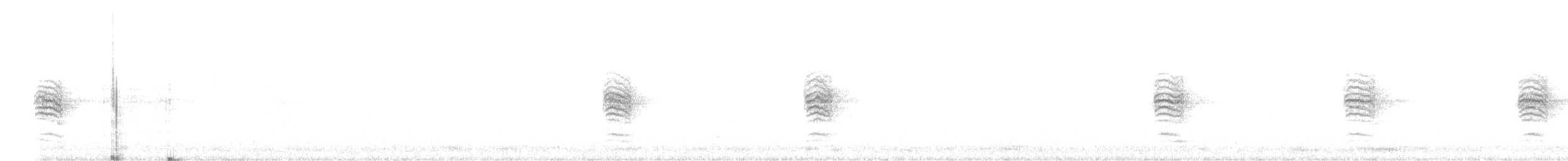 Striated Fieldwren - ML237397031