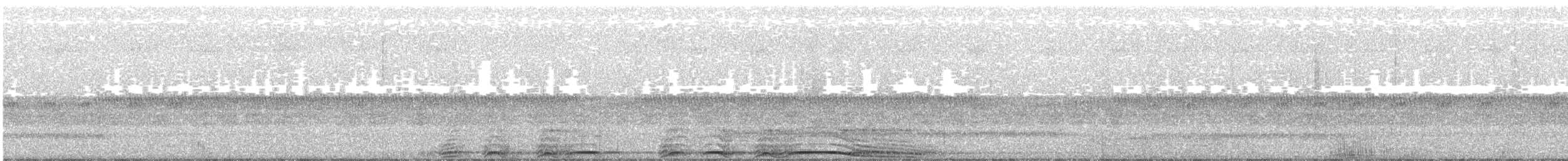 Barred Owl - ML237414071