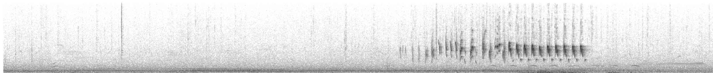 Klappergrasmücke - ML237429961