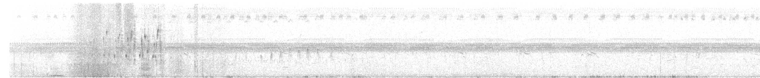 Troglodyte des marais - ML237433441