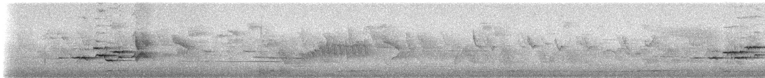 White-tailed Robin - ML237445