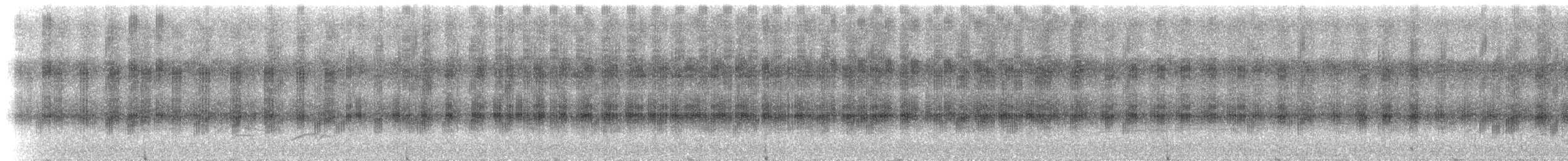 Typical Cicadas - ML237455