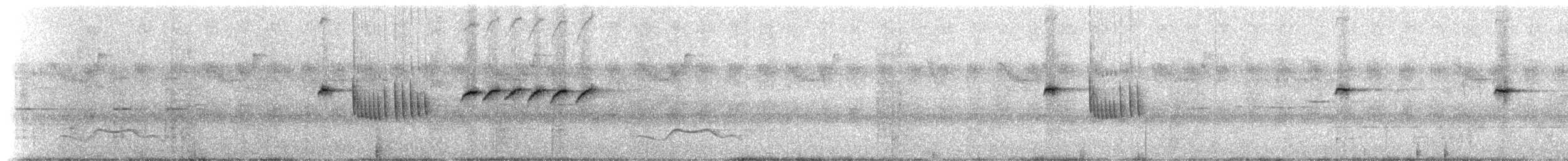 Little Pied Flycatcher - ML237469