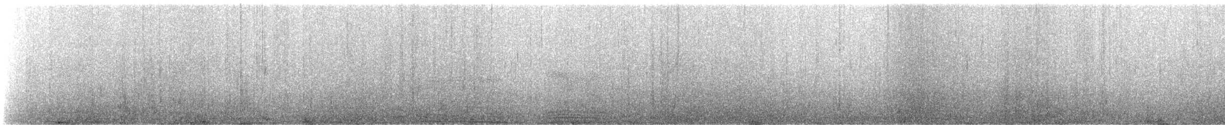 tučňák galapážský - ML237481