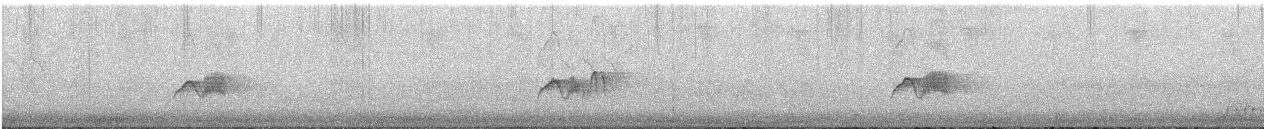 Alder Flycatcher - ML237484581