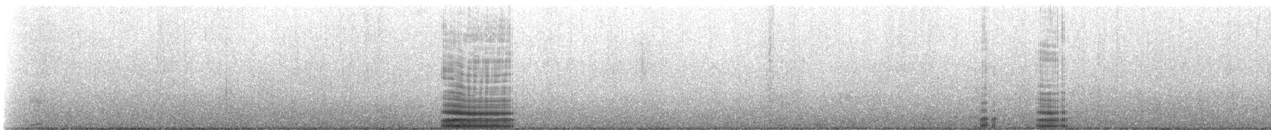 kormorán galapážský - ML237486