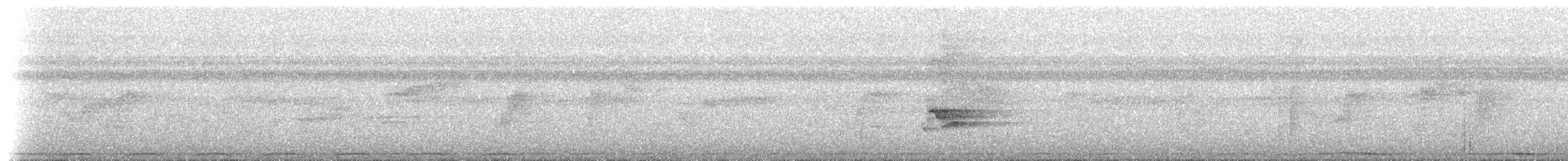 Шпак-малюк мікронезійський - ML237501