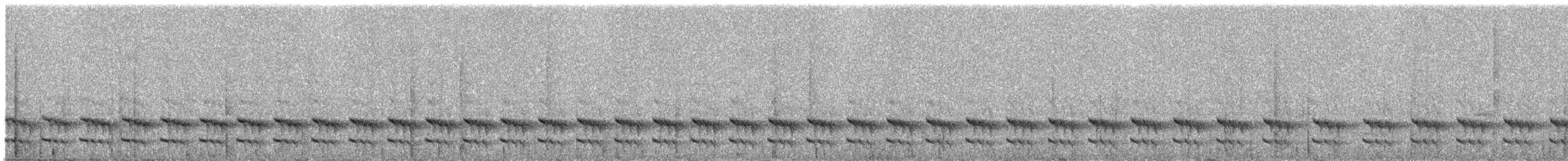 Chusquea Tapaculo - ML237502