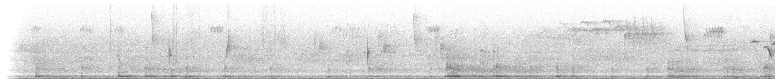 Scarlet Tanager - ML237503