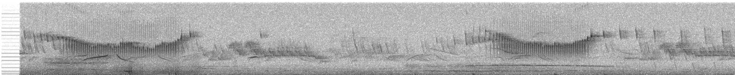 Cream-winged Cinclodes - ML237508