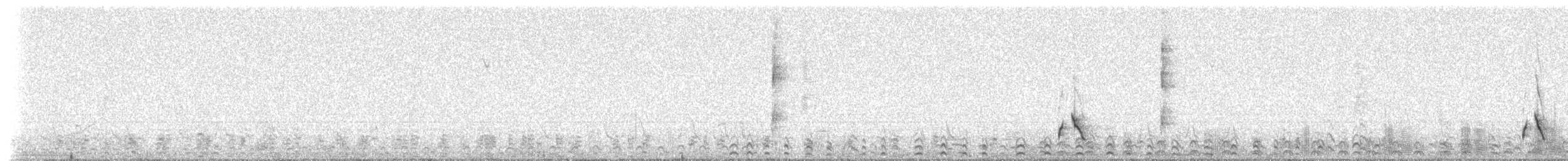 Wren-like Rushbird - ML237509