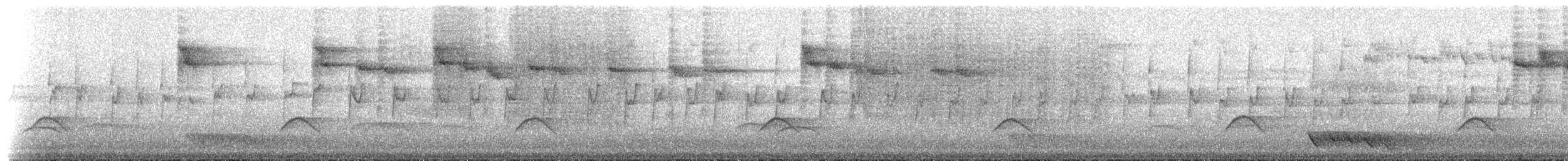 Green-backed Firecrown - ML237510