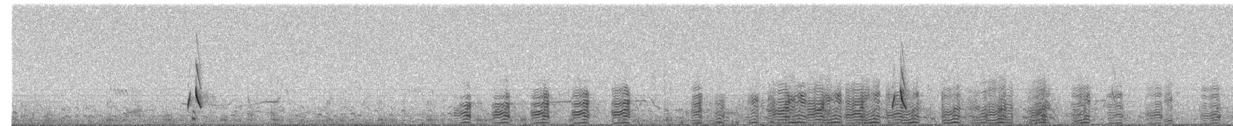 Puna Ibis - ML237512