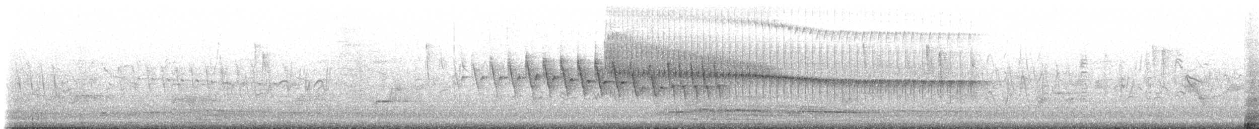 White-striped Woodcreeper - ML237515