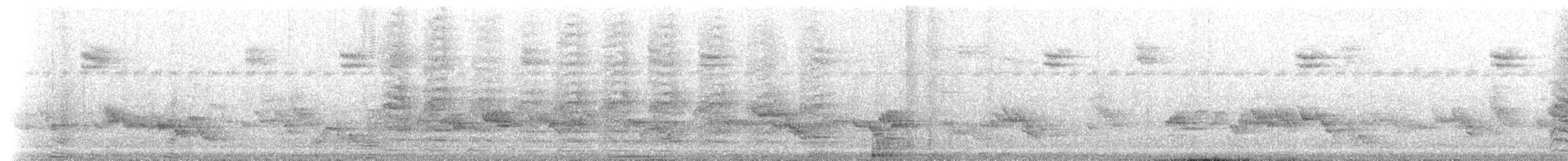 Echo Parakeet - ML237521