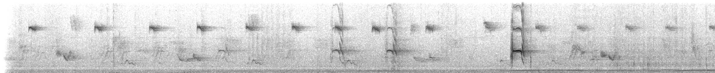 Yeşil Papağan - ML237522