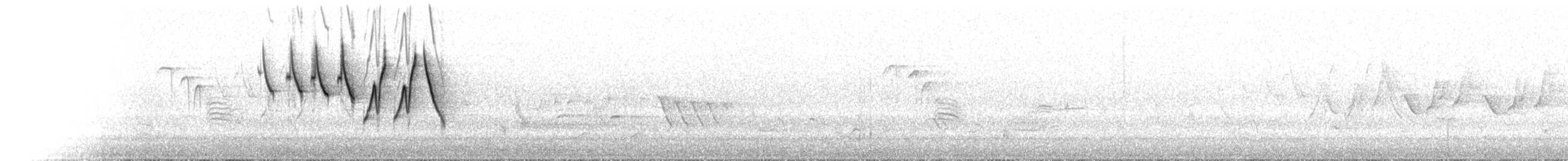 Chestnut-sided Warbler - ML237526601