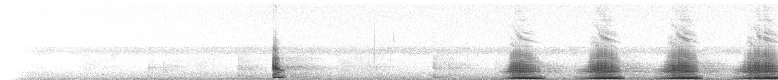 Grenouille-taureau - ML237542