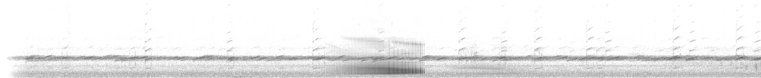 Grenouille léopard du Sud - ML237543