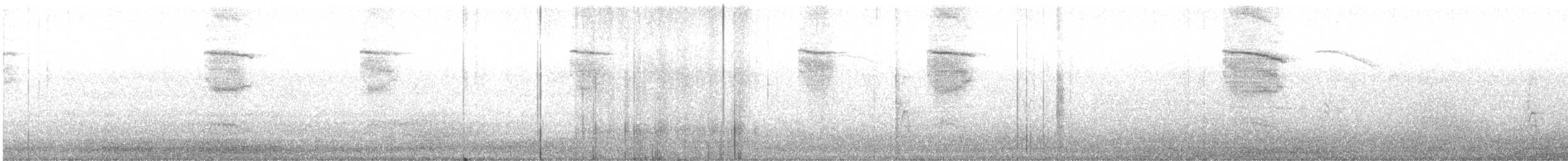 American Robin - ML237547631