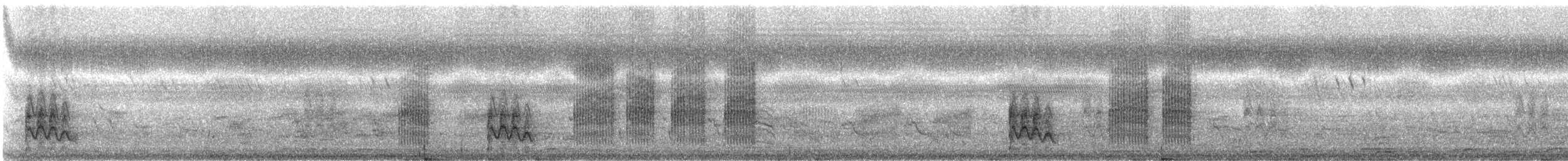 Bay-backed Shrike - ML237549