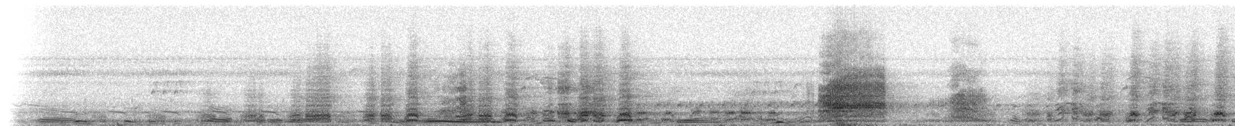 Scarlet Macaw - ML237557