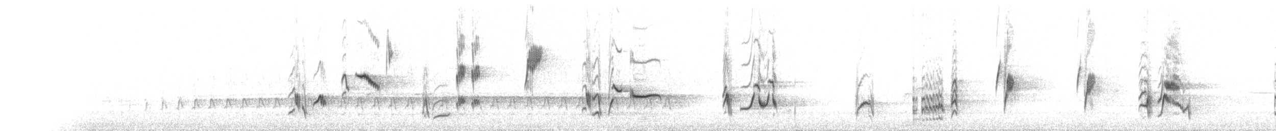 Gray Catbird - ML237562171