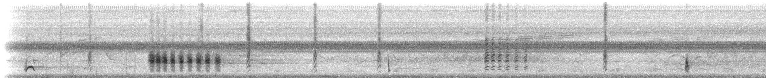 White-eyed Vireo (White-eyed) - ML237563