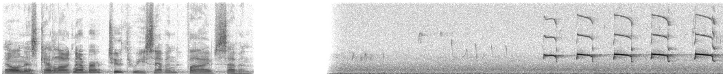 White-browed Woodpecker - ML23757