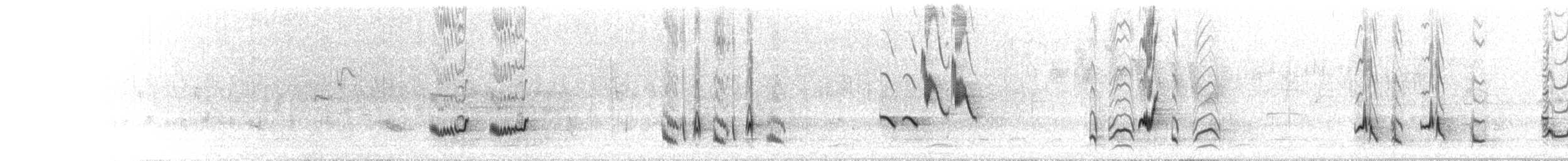 Brown Thrasher - ML237573291