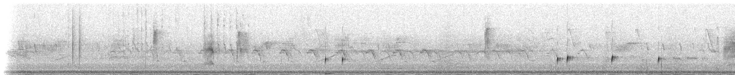 Rainbow Bee-eater - ML237575