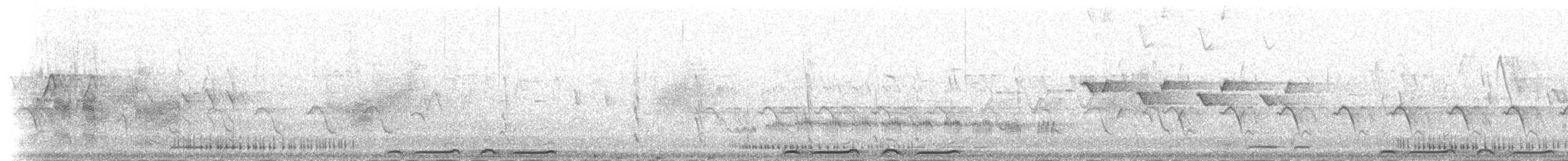 Bar-shouldered Dove - ML237577