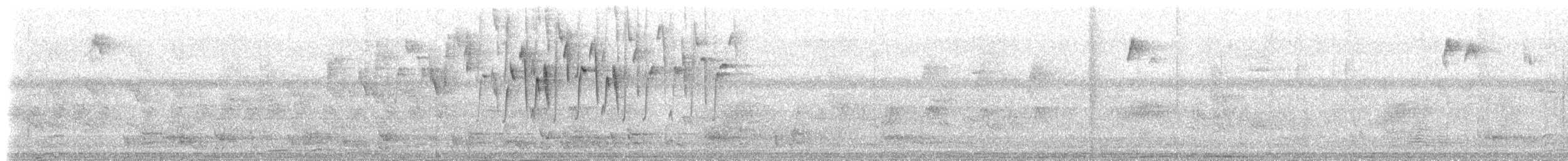 Red-backed Fairywren - ML237582