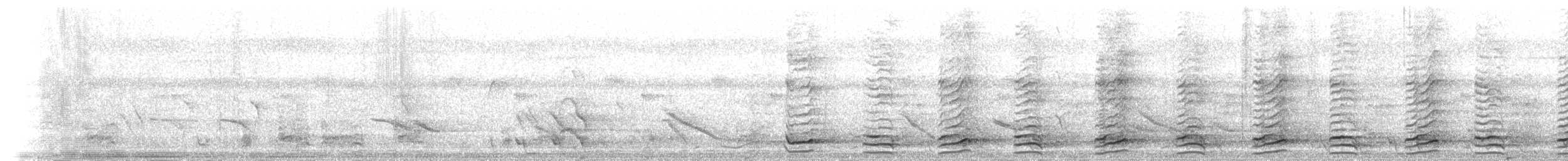 Noisy Friarbird - ML237583